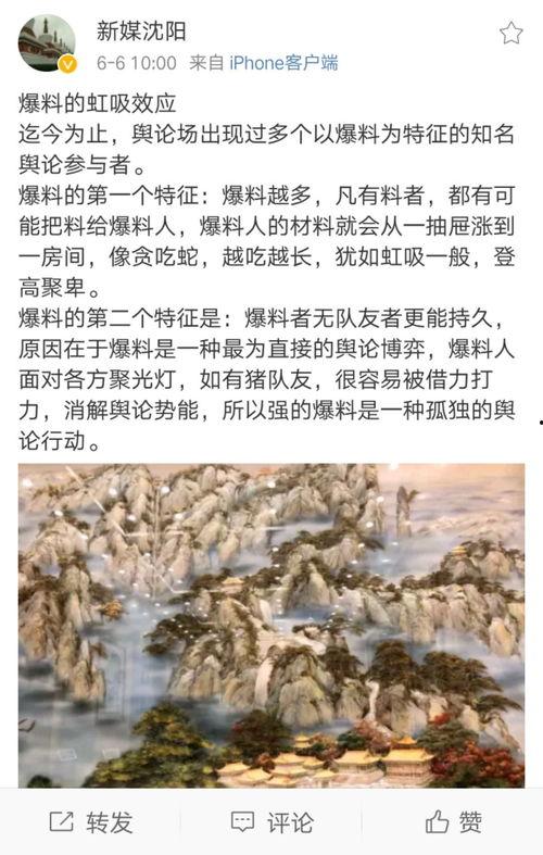 沈陽事件最新爆料,驚人內幕揭露真相